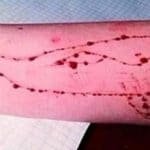 Children-Game-Video-game-Sucide-Mumbai-Blue-whale