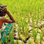 why-are-the-farmers-worried