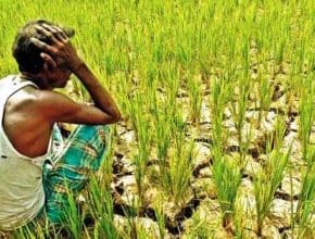 why-are-the-farmers-worried