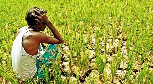 why-are-the-farmers-worried