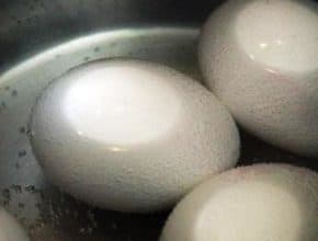 1700 for 2 boiled eggs