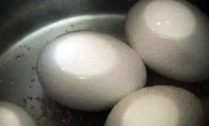 1700 for 2 boiled eggs