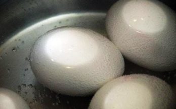 1700 for 2 boiled eggs