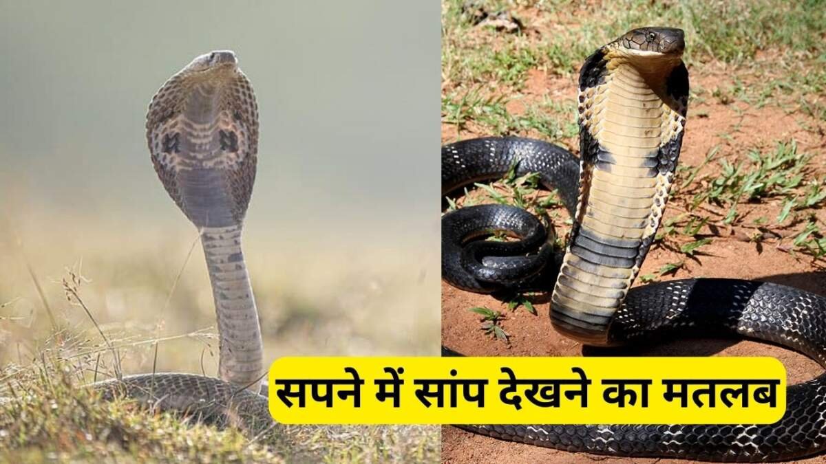 Sapne me Saap Dekhna