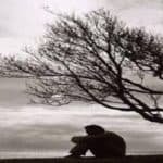 कोरोना के बीच