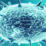 बिहार में कोरोना