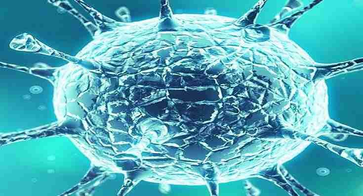 बिहार में कोरोना