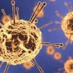 बिहार में कोरोना वायरस