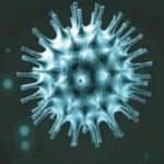 बिहार में कोविड-19