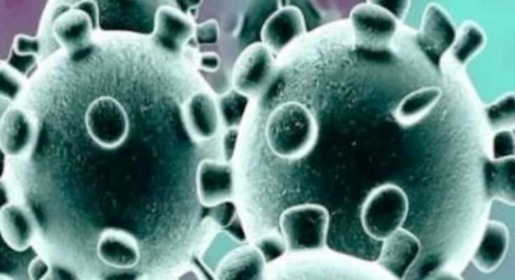 कोरोना का कहर