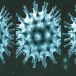 भारत में कोरोना