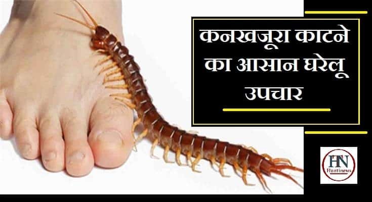 कनखजूरा काटने का उपचार