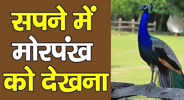 सपने में मोर दिखना