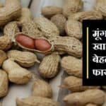 मूंगफली खाने के फायदे