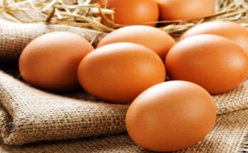 Benefits of Eggs