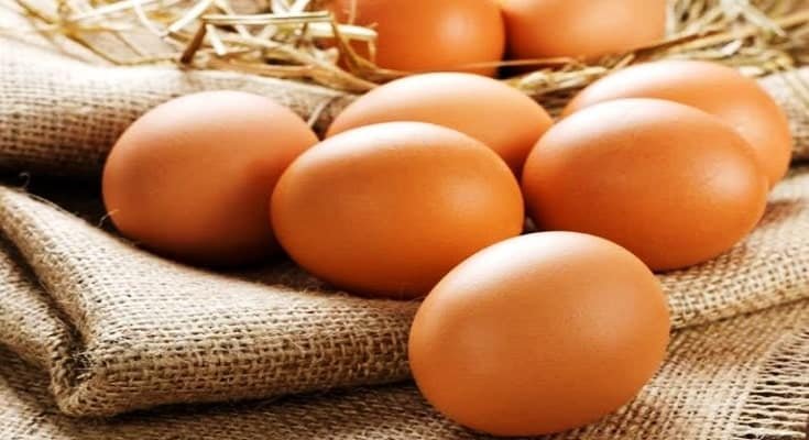 Benefits of Eggs