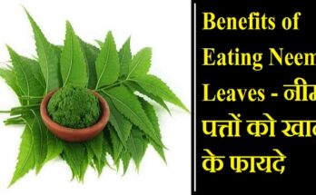 Benefits of Eating Neem Leaves