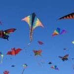 मकर संक्रांति पर पतंगबाजी क्यों की जाती है?