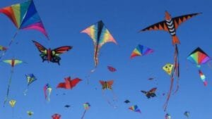 मकर संक्रांति पर पतंगबाजी क्यों की जाती है?