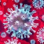 कोरोना वायरस खुलासा