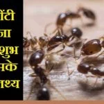 घर में चींटियाँ निकलना शुभ या अशुभ