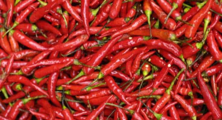 लाल मिर्च के फायदे
