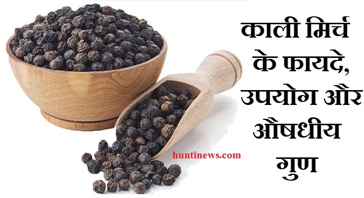 Black Pepper Benefits - काली मिर्च के फायदे