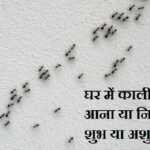 घर में काली चींटी का आना या निकलना शुभ या अशुभ