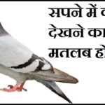 सपने में कबूतर देखना