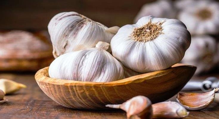 खाली पेट लहसुन खाने के फायदे और नुकसान