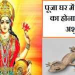 पूजा घर में छिपकली होना शुभ या अशुभ