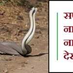 सपने में नाग नागिन देखना