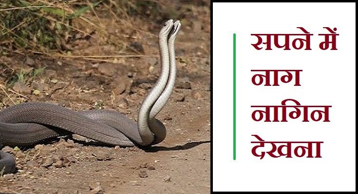 सपने में नाग नागिन देखना