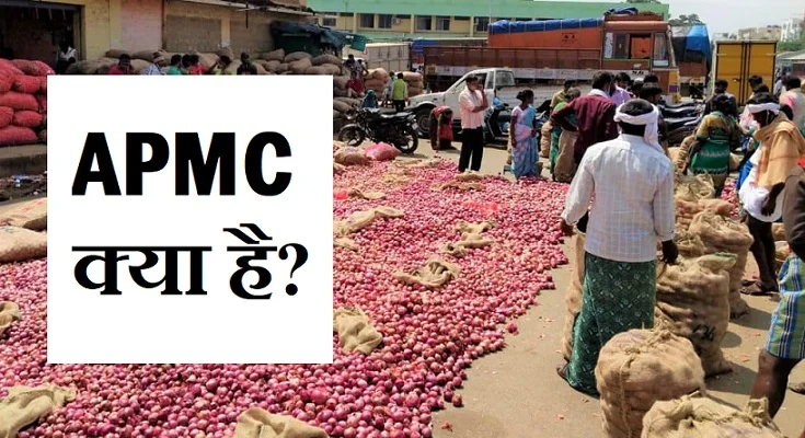 APMC full form in Hindi