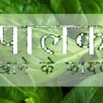 पालक के फायदे - Spinach Benefits