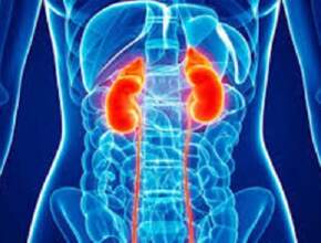 Kidney Health Tips