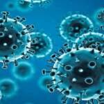 कोरोना की चौथी लहर