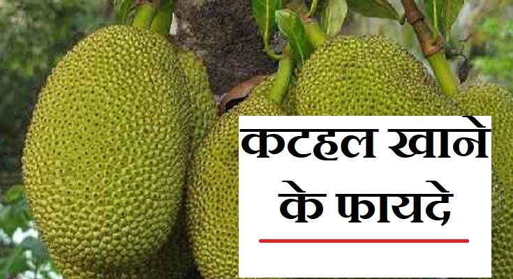 कटहल खाने के फायदे
