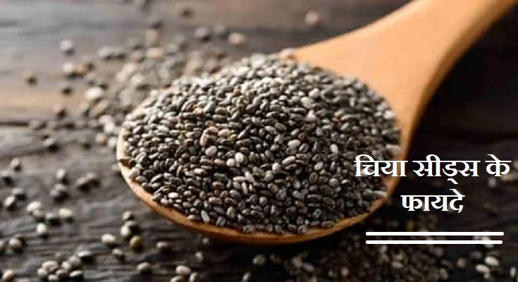 चिया सीड्स के फायदे