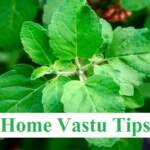 Vastu Tips in Hindi