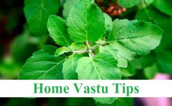 Vastu Tips in Hindi