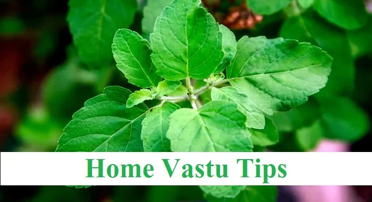 Vastu Tips in Hindi
