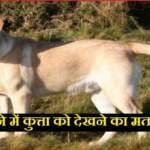 सपने में कुत्ता को देखने का मतलब