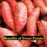 शकरकंद खाने के फायदे