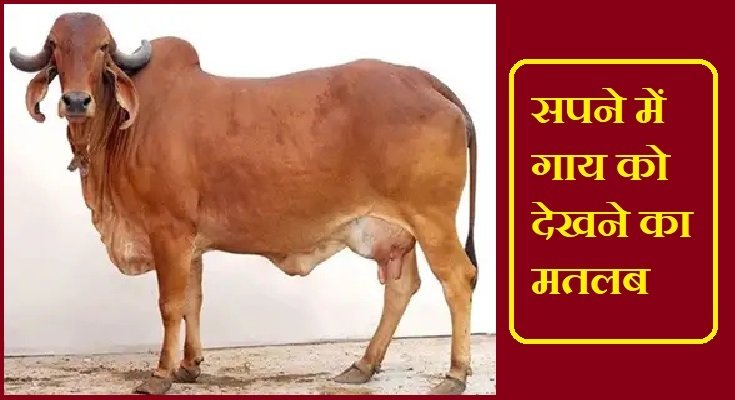 Sapne me Cow Dekhna