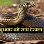 बुधवार को सांप देखना