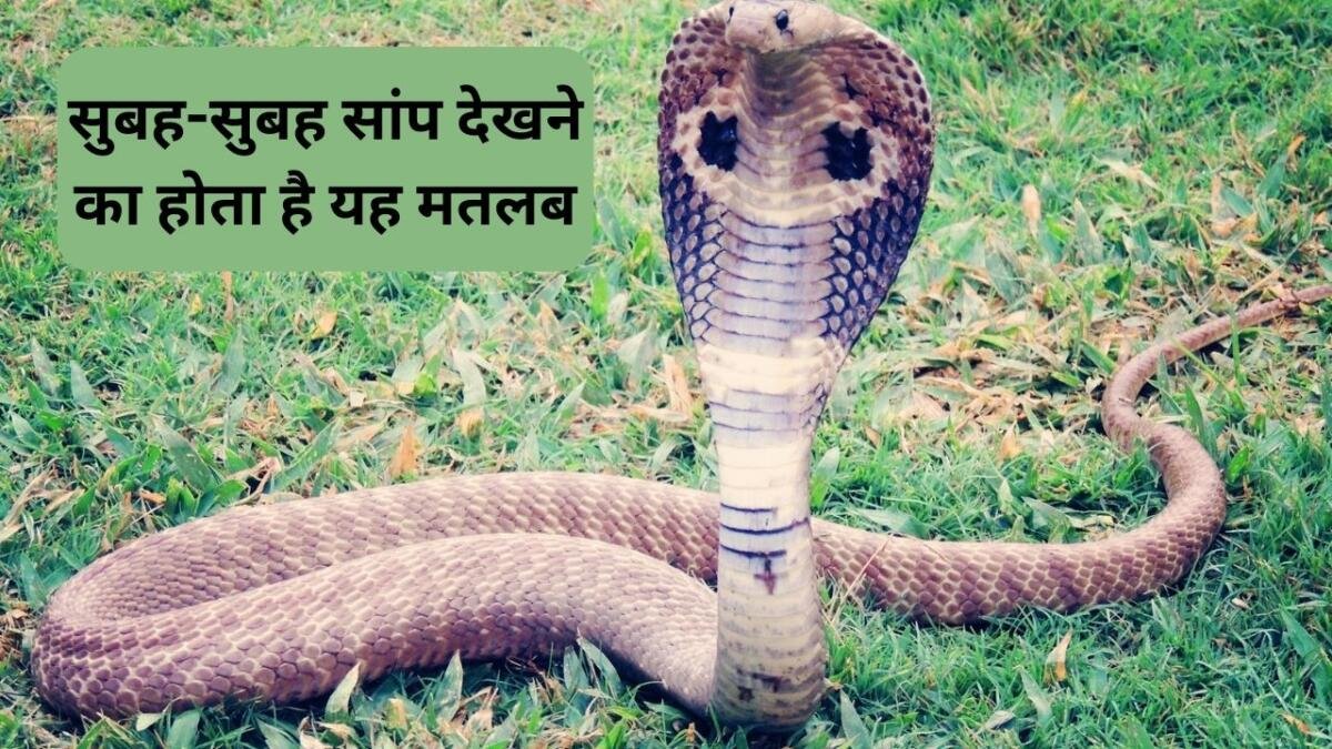 Subah Subah Saap Dekhna