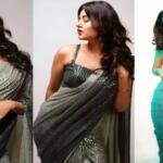 Anjali Arora Saree Hot Photo