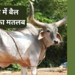 Sapne me Bail Dekhna