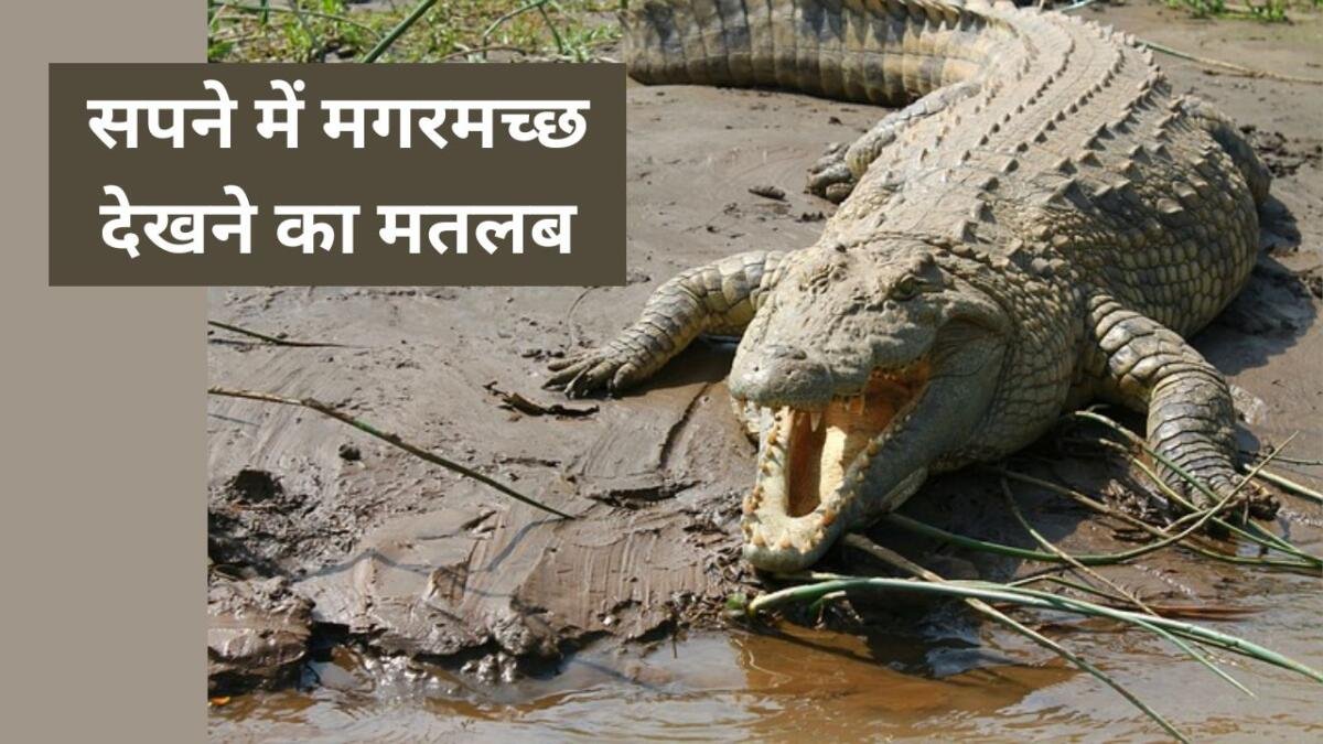 Sapne me Magarmach Dekhna